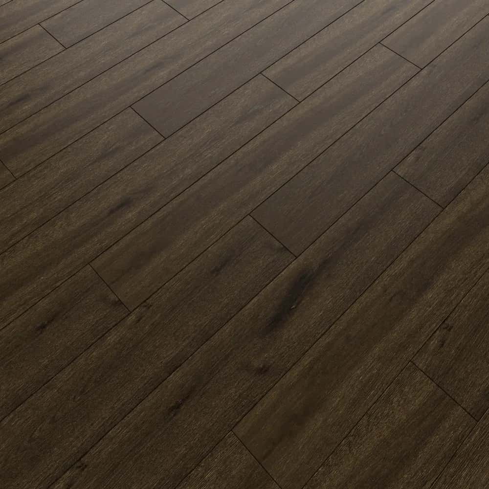Ceramus -