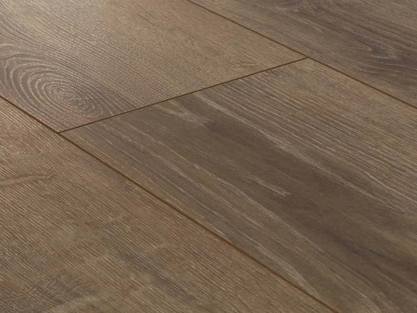 Balearic Oak