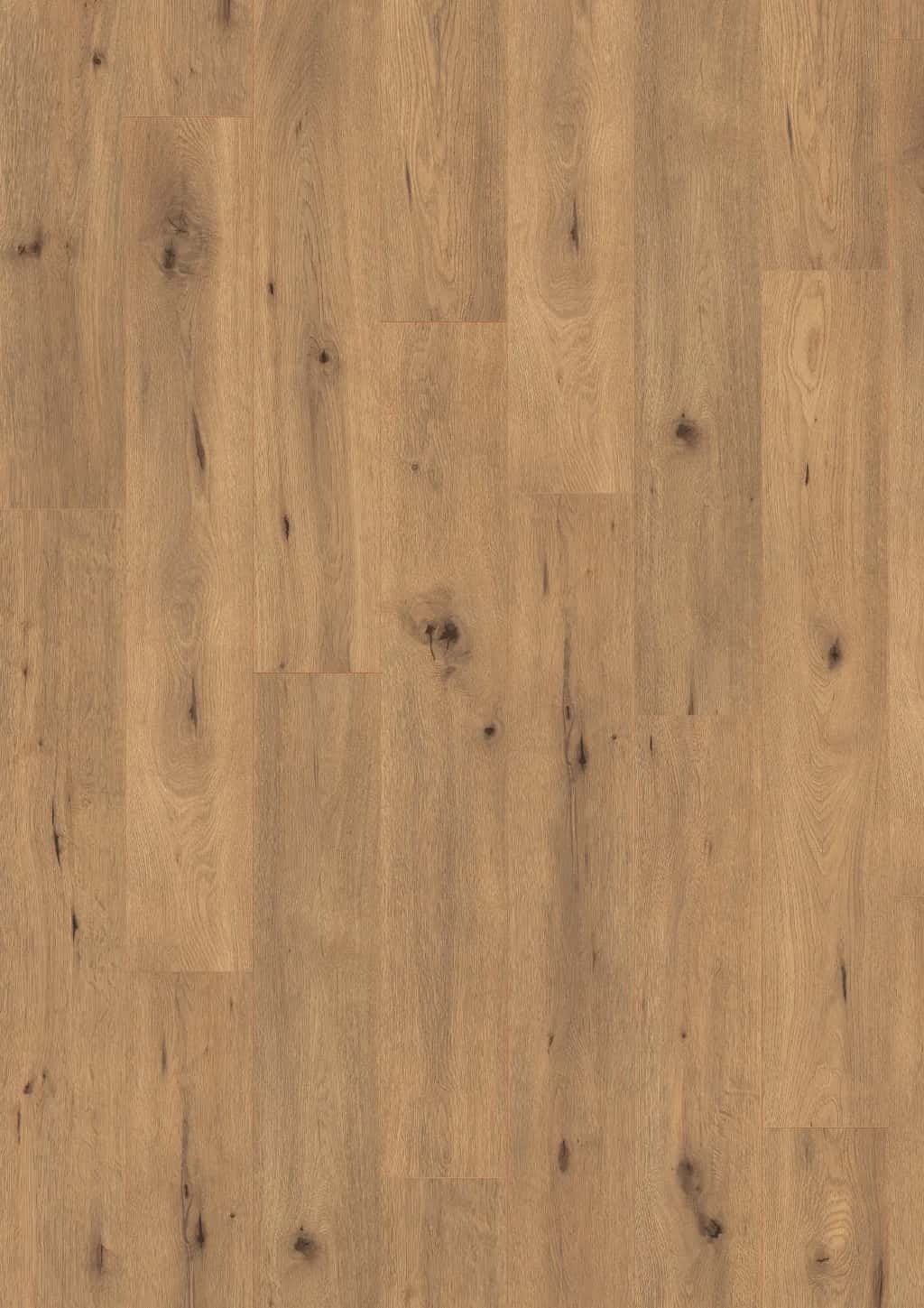 Naturel Yabani Meşe