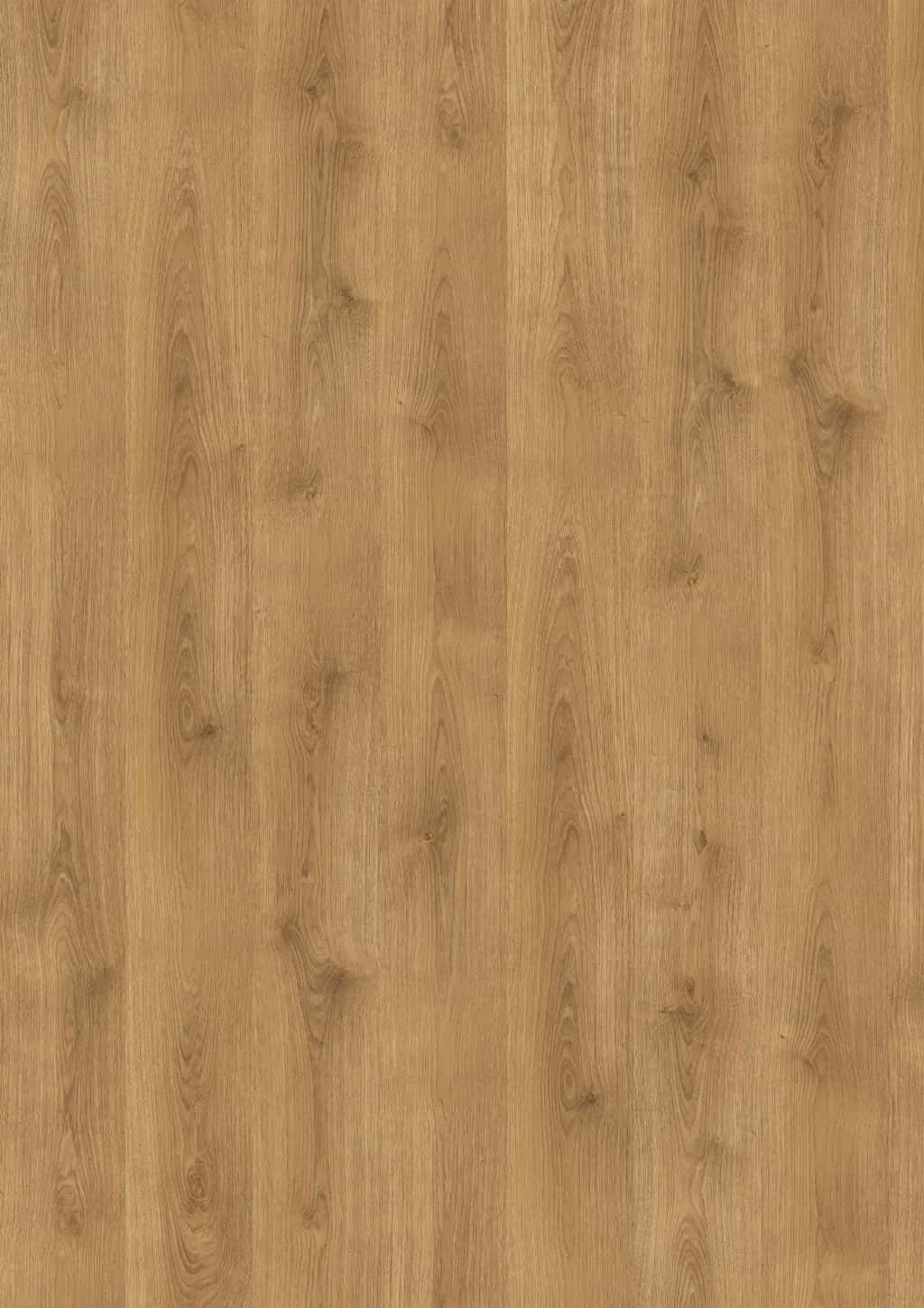 Naturel Kuzey Meşesi