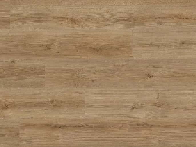 Oak Evoke Trend