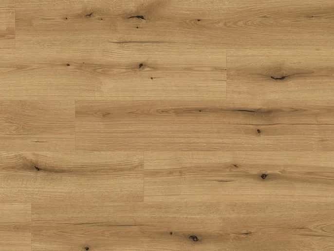 Oak Evoke Coast