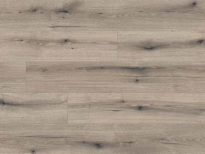 Oak Evoke Solano
