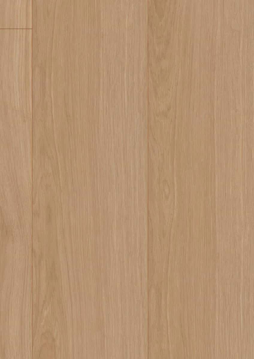 Waveless Oak Nature
