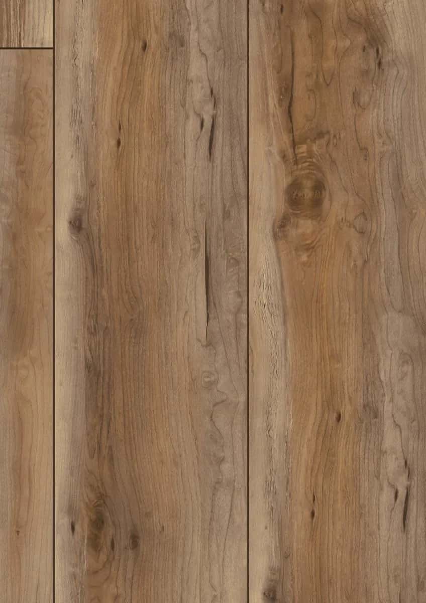 Canyon Maple