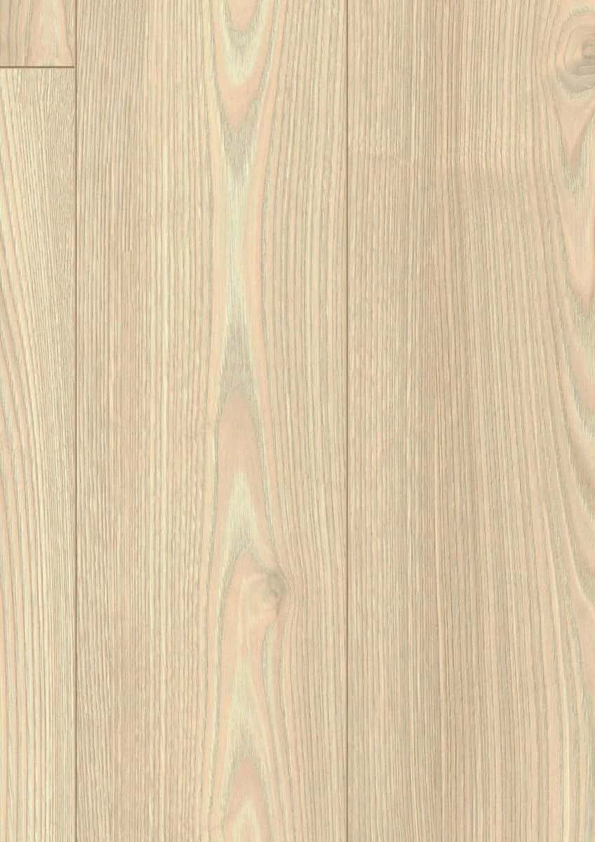Salisbury Chestnut