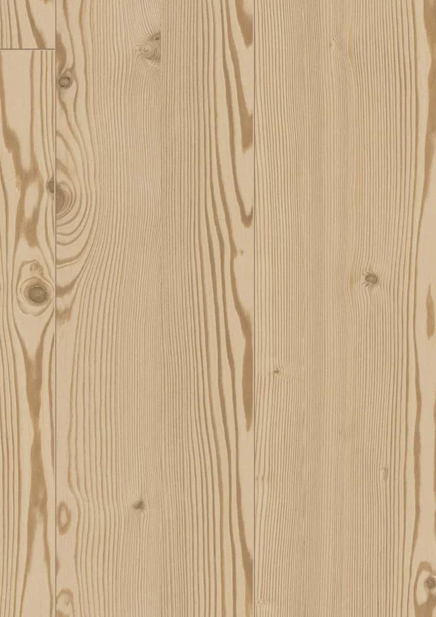 Larch Berlin