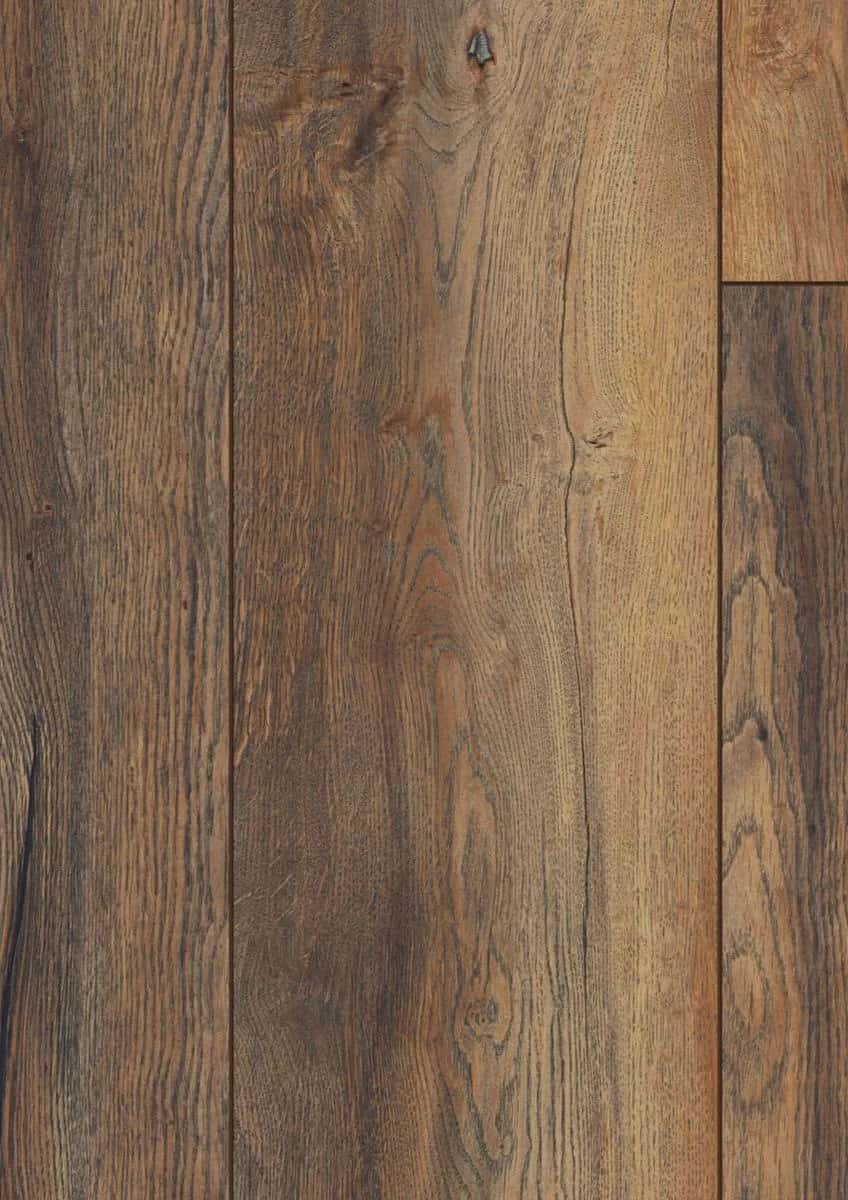 Harbour Oak