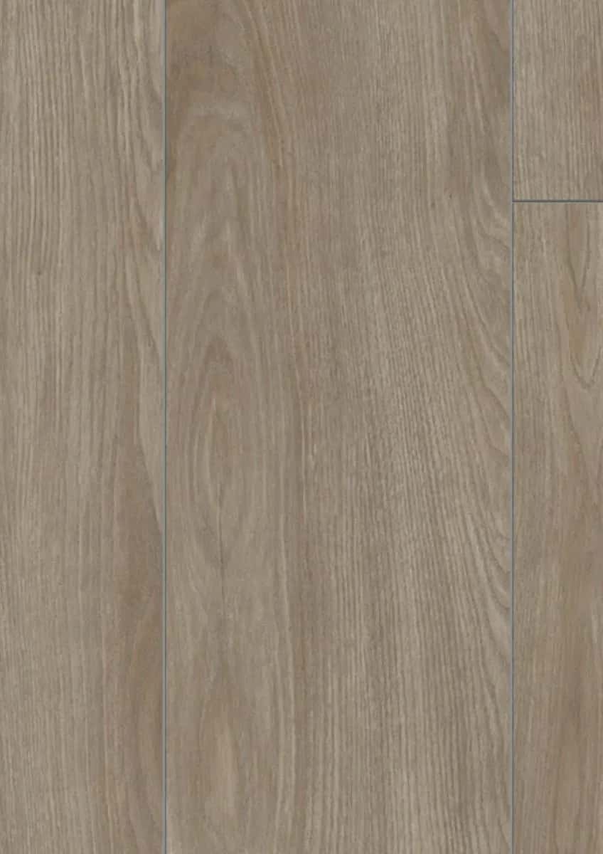 Sevilla Oak