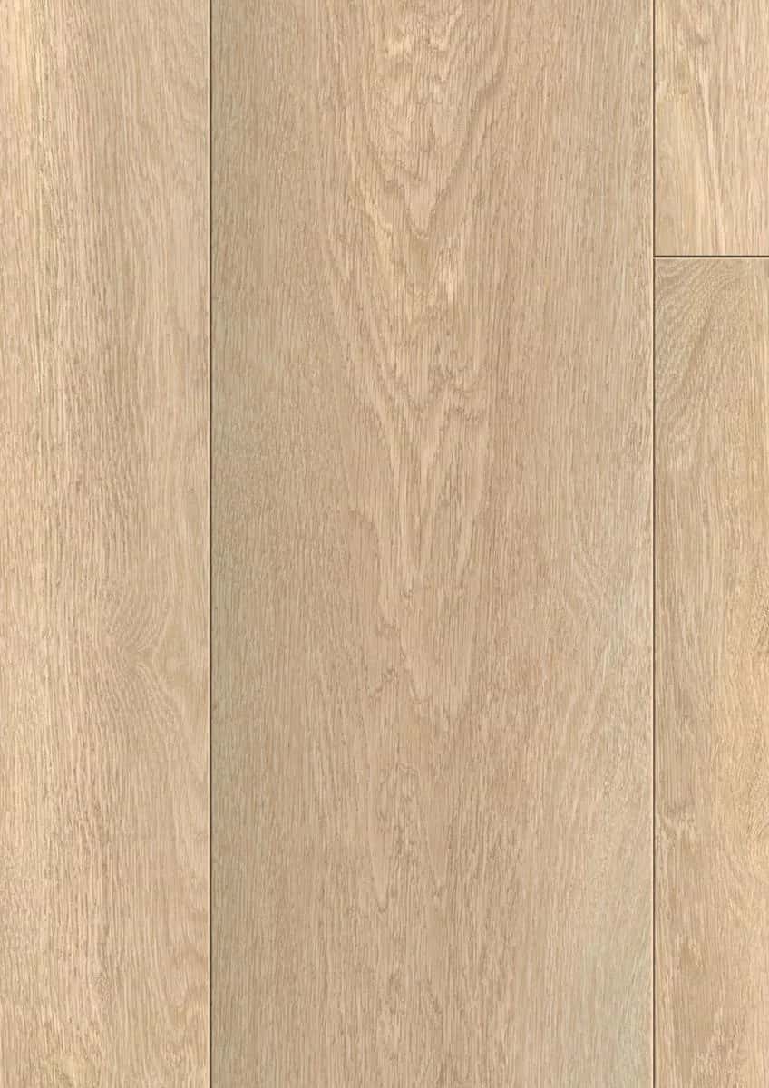 Absolute Oak Nature