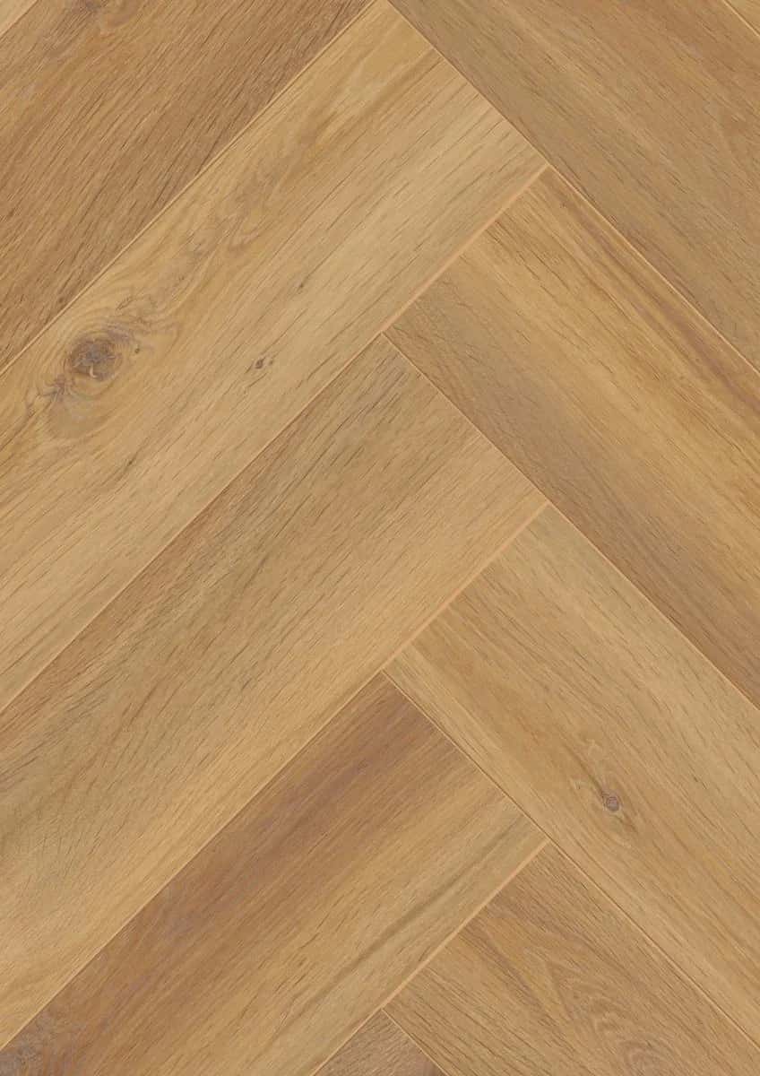 Pisa Oak