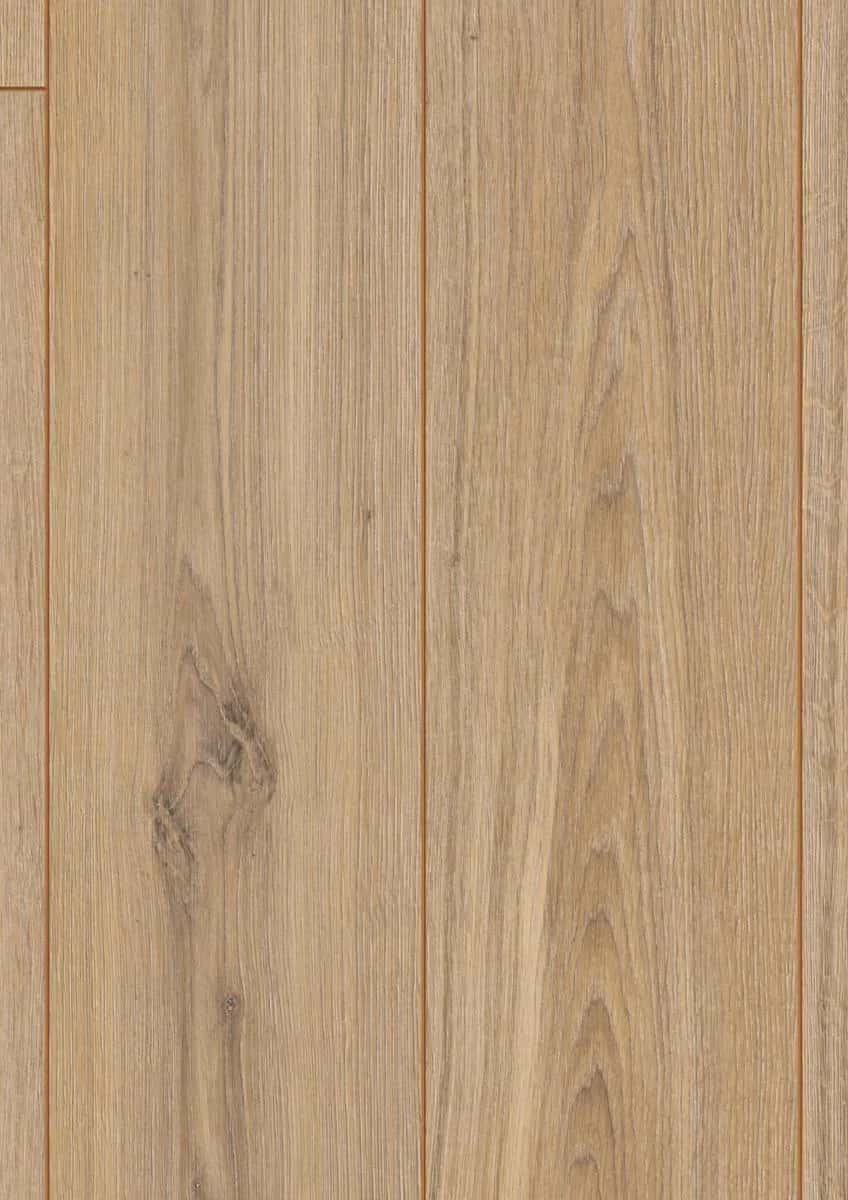 Phalsbourg Oak