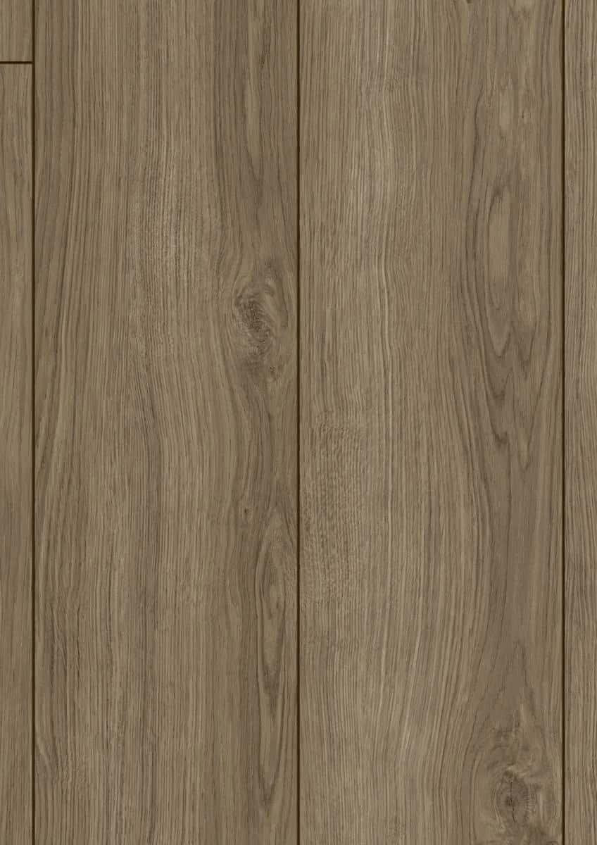 Opal Oak Coffee
