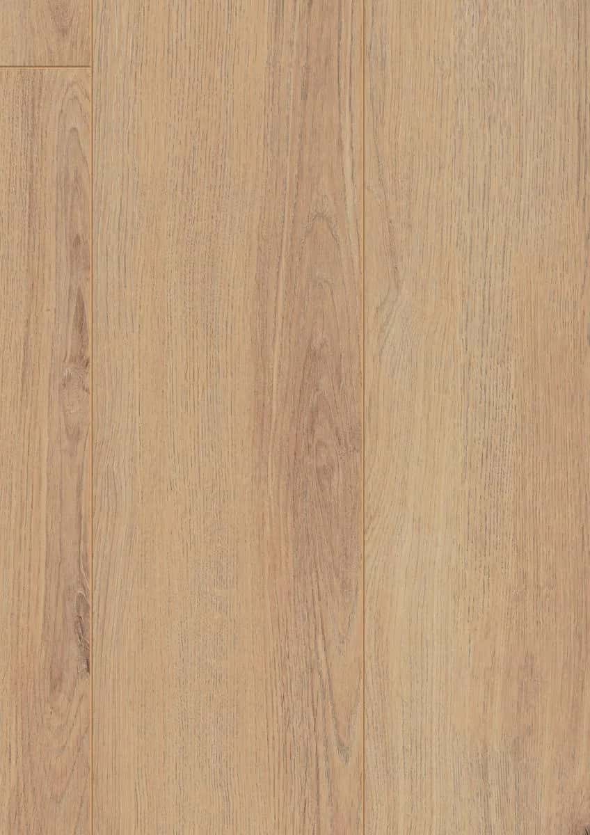 Norfolk Oak