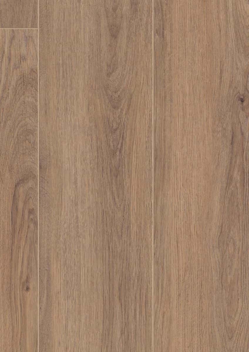 Norfolk Oak Bronze