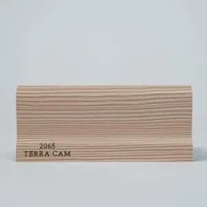 2065-TERRA-CAM