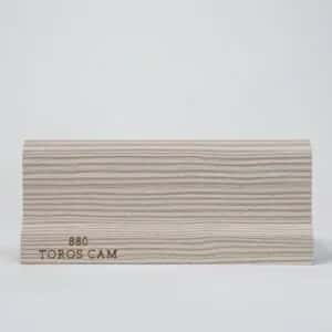 880-TOROSCAM