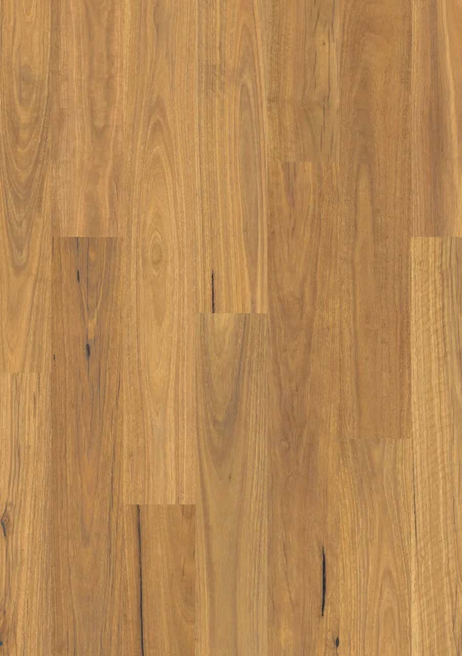 Pure spotted gum Laminate Eligna