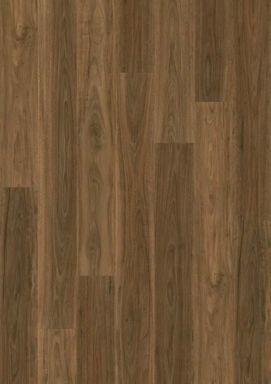 Spotted Gum Laminate Majestic