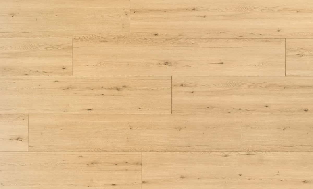 Disentis Oak