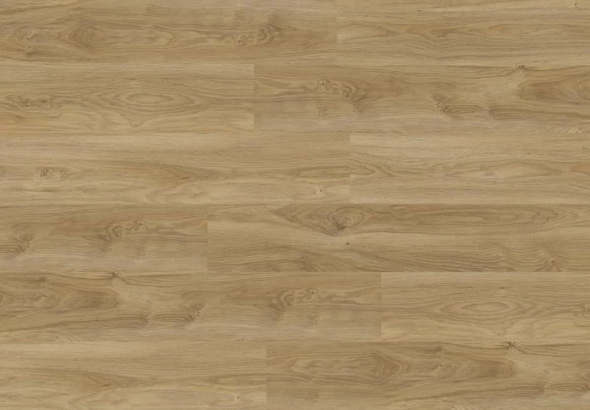 Camargue Oak