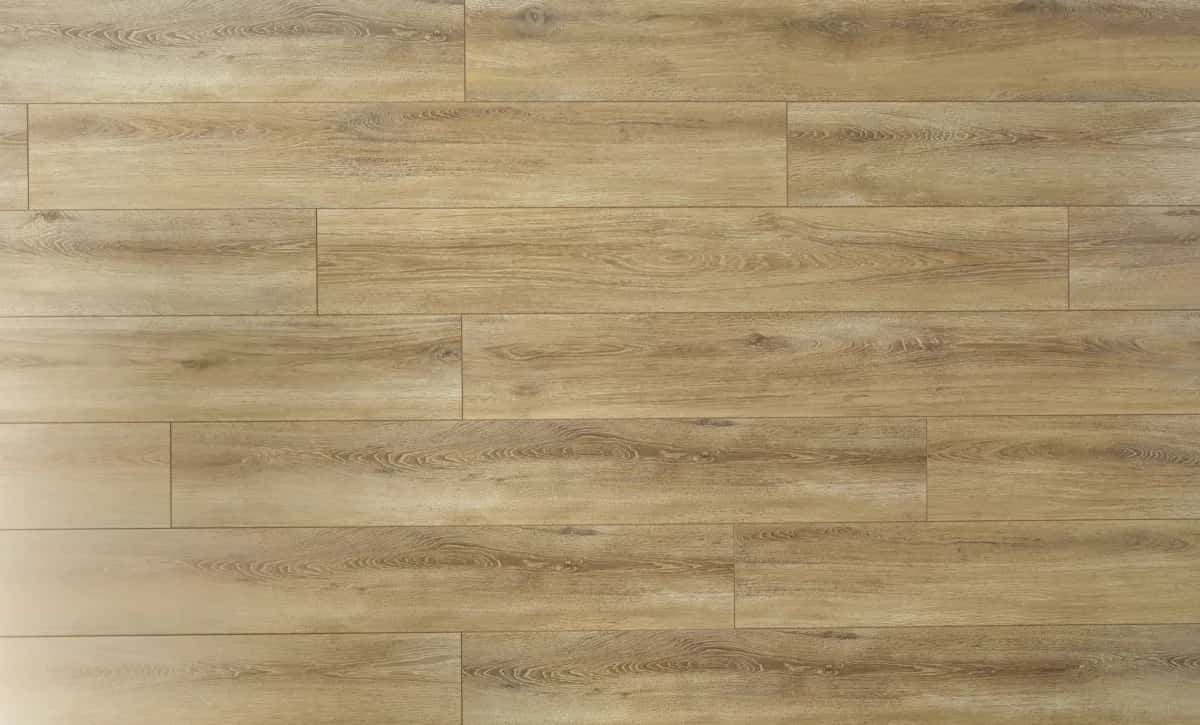 Santiago Oak