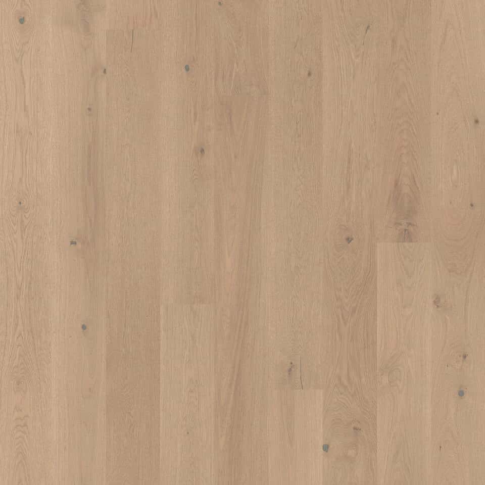 OAK BEIGE CASHMERE PLANK XT (1-strip)