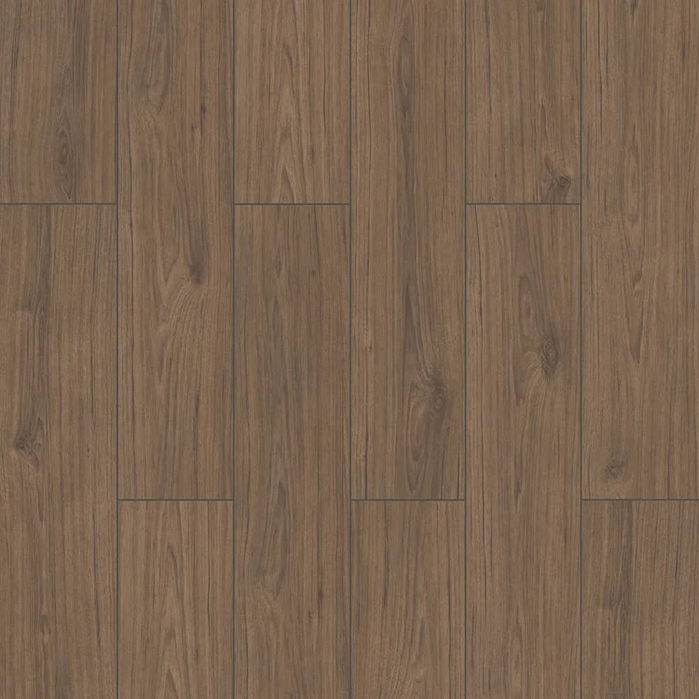 Raven uygulama görünümü
