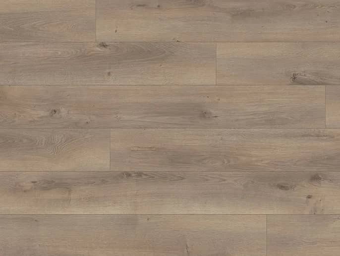 Oak Pleno uygulama görünümü