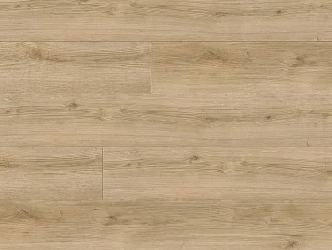 Oak Evoke Classic uygulama görünümü