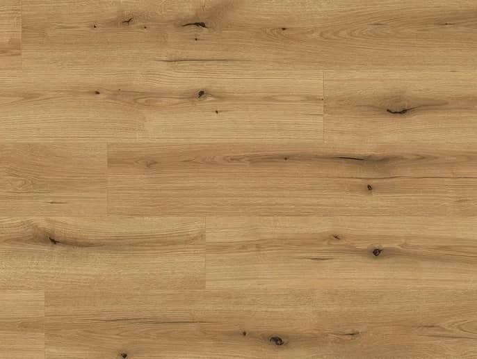 Oak Evoke Coast uygulama görünümü