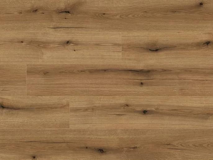 Oak Evoke Sunset uygulama görünümü