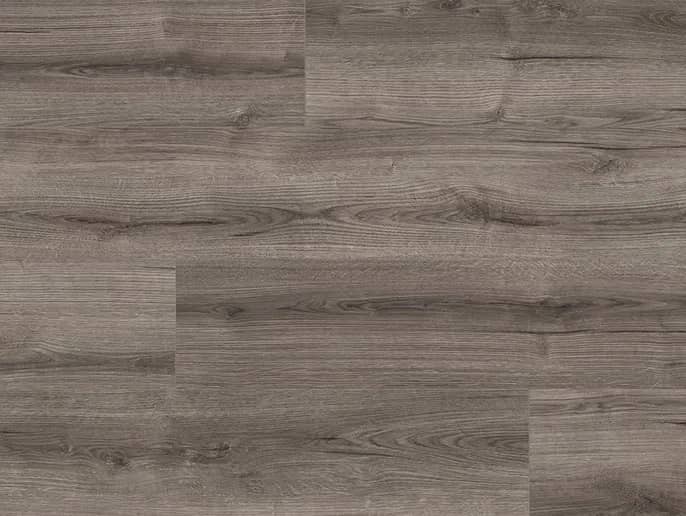 Oak Evoke Crack uygulama görünümü