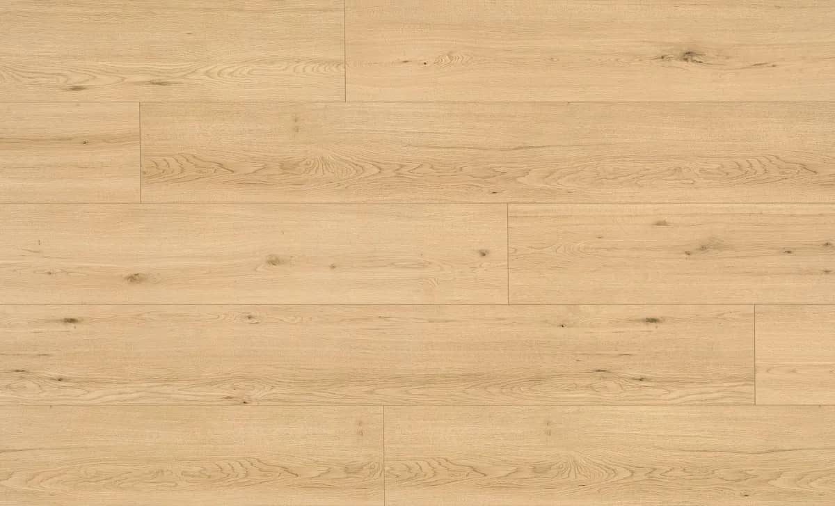 Disentis Oak uygulama görünümü