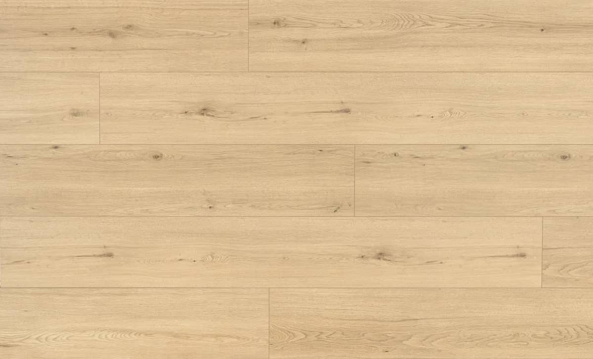 Tamins Oak uygulama görünümü