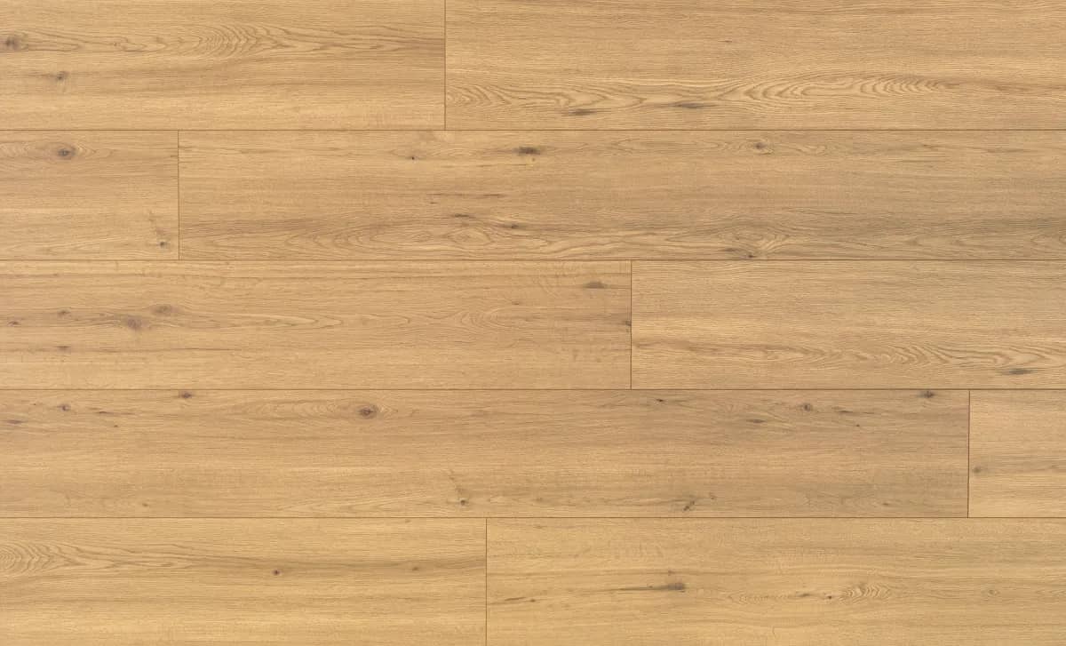 Realp Oak uygulama görünümü