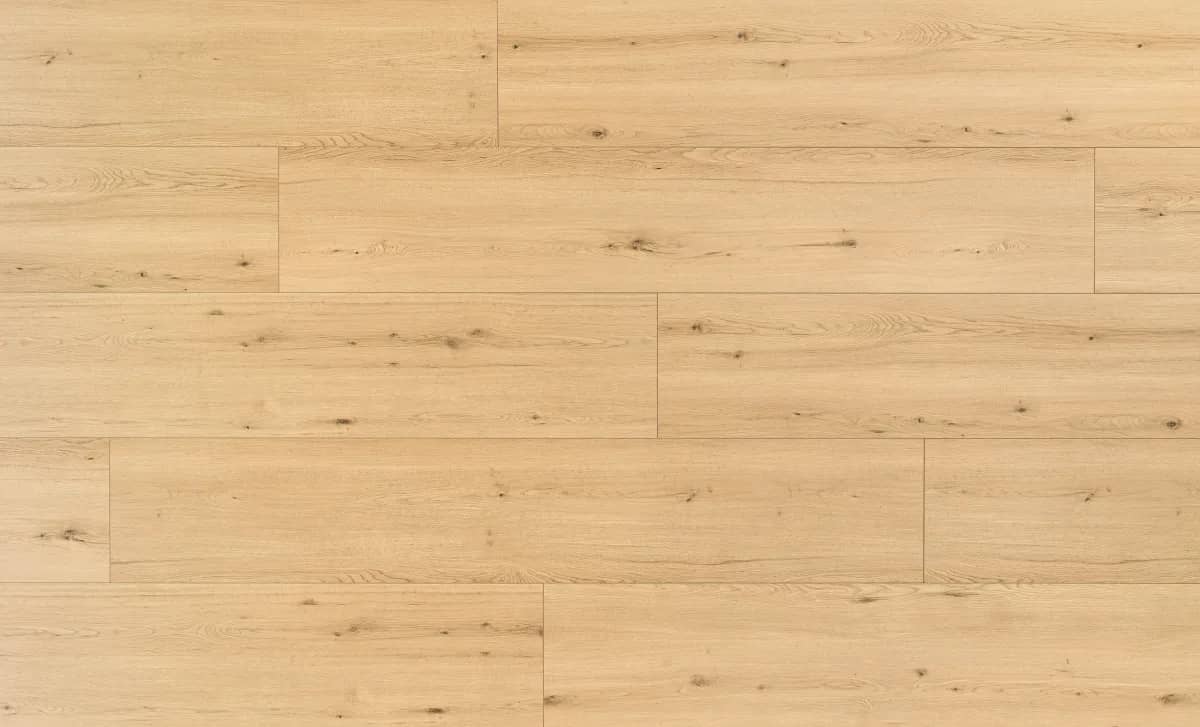 Disentis Oak uygulama görünümü