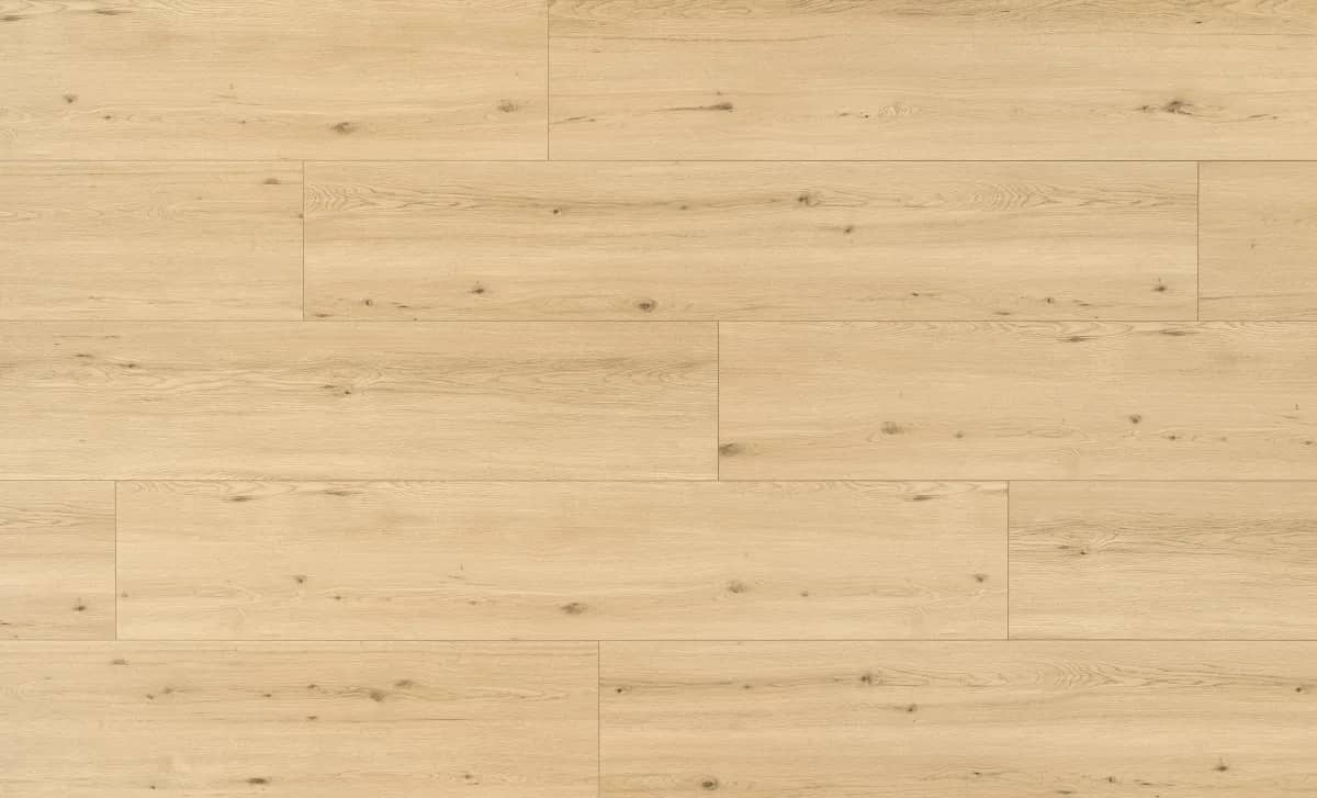 Tamins Oak uygulama görünümü