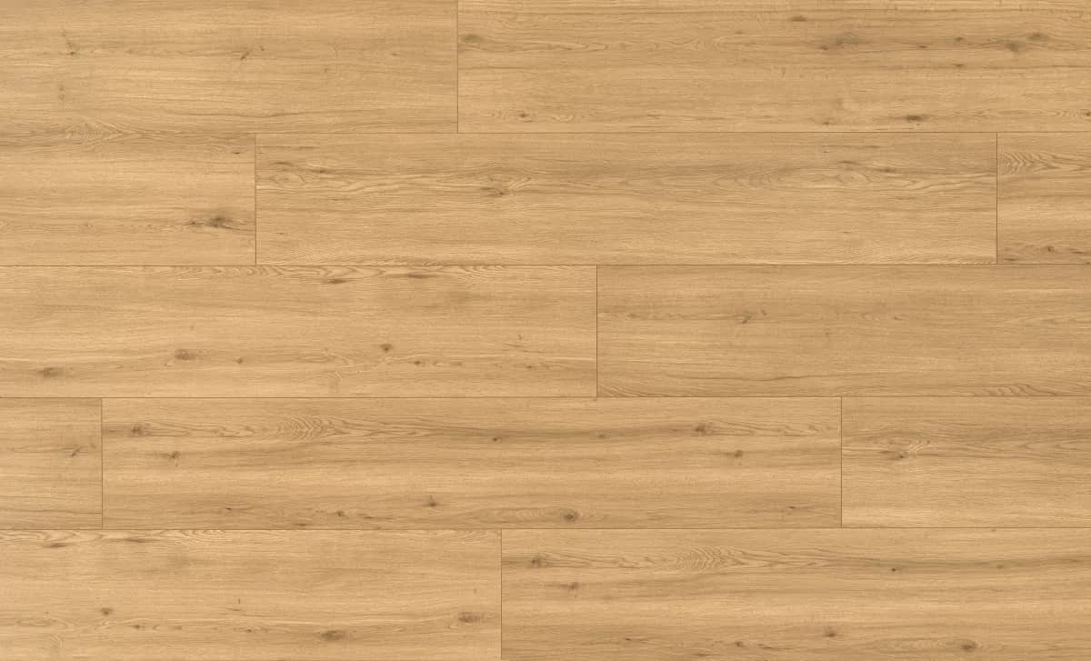 Realp Oak uygulama görünümü