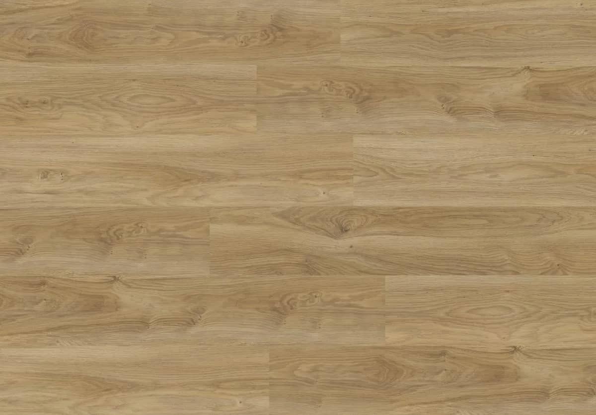 Camargue Oak uygulama görünümü