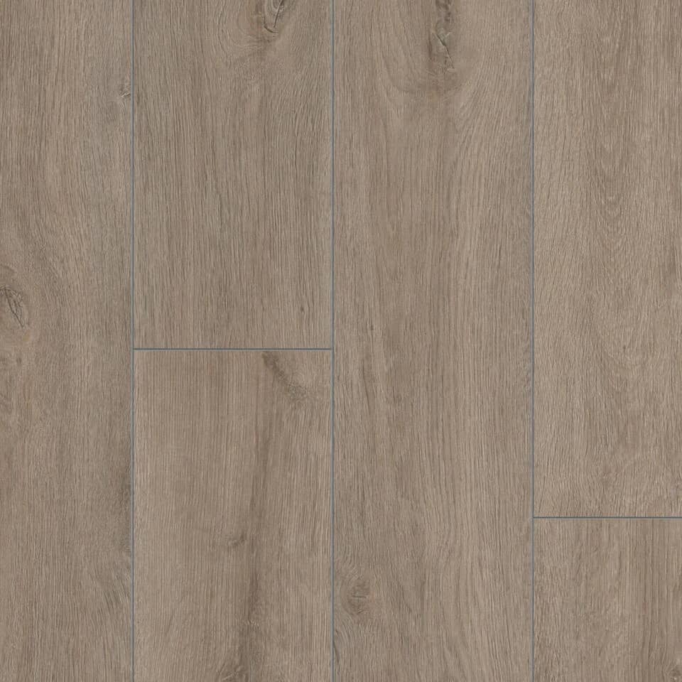 Empire Oak TITAN uygulama görünümü