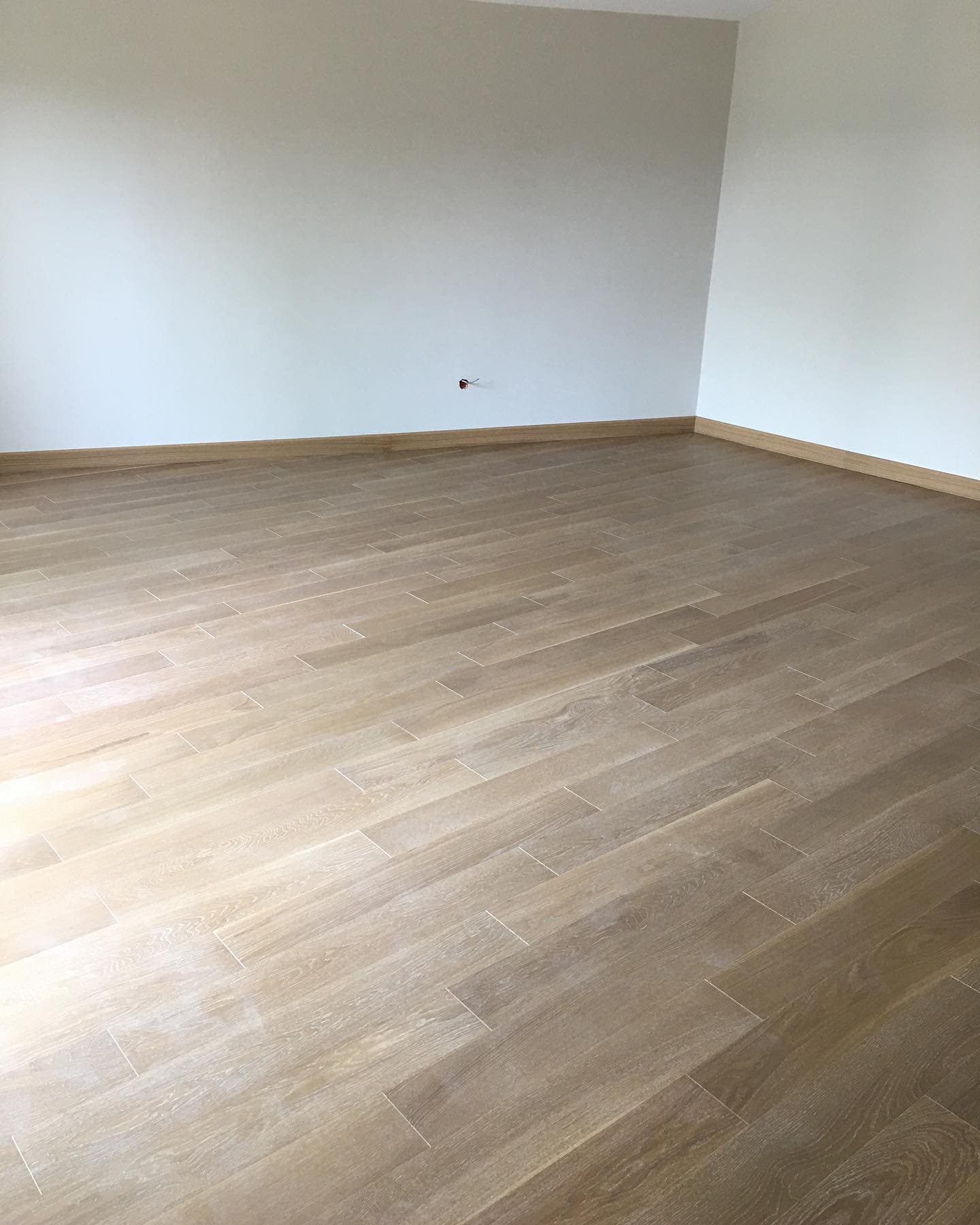 Salon Dönüşümü — sonrası