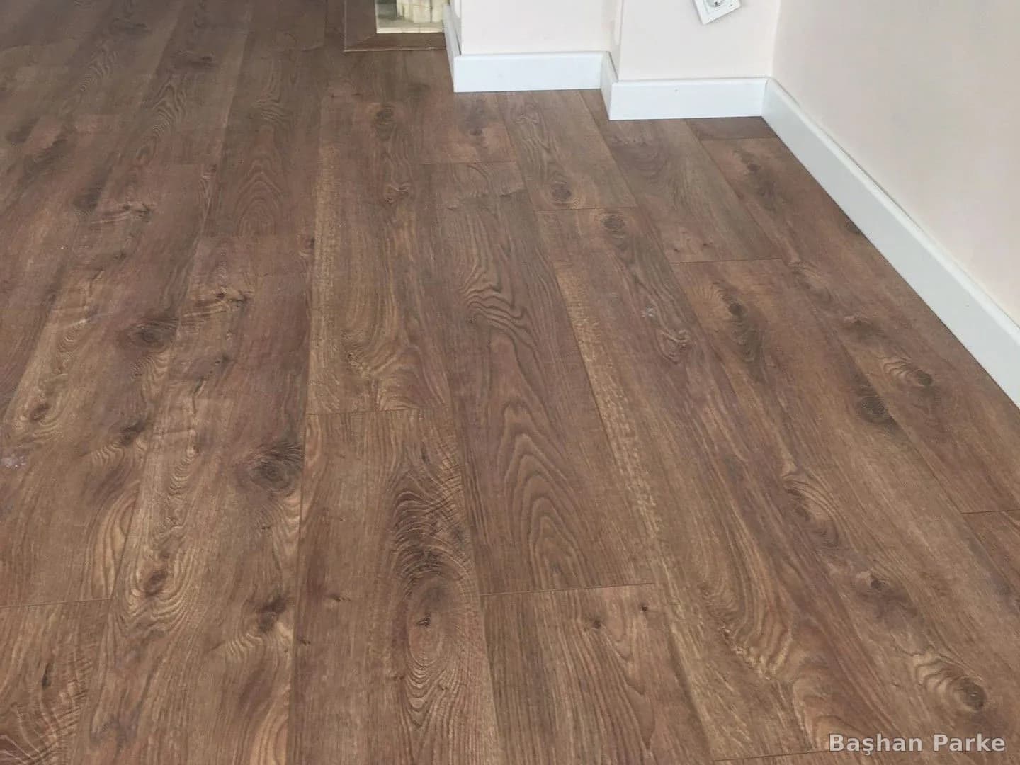 Parke Neden Kabarır? Sebepleri ve Çözüm Yolları