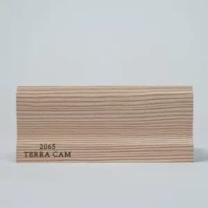2065-TERRA-CAM