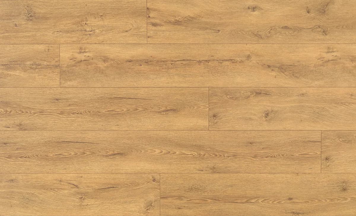 Sicilia Oak