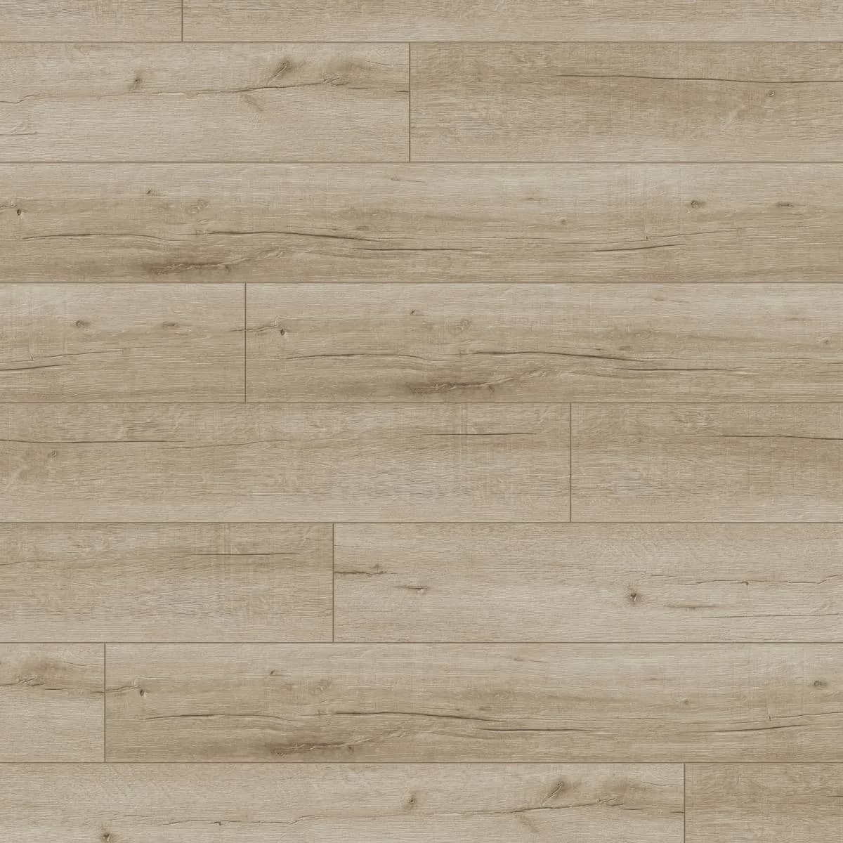 Lugano Oak