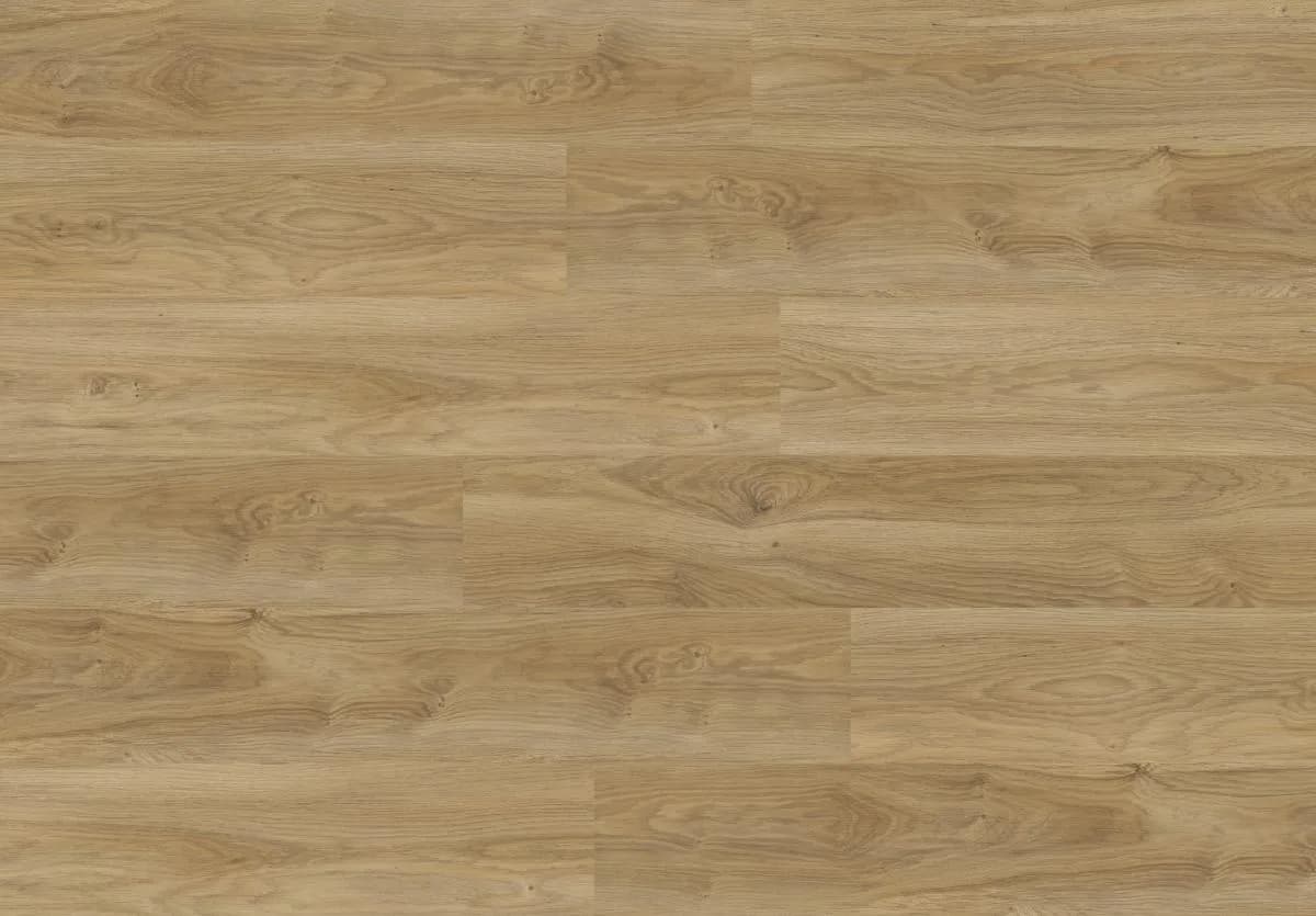 Camargue Oak
