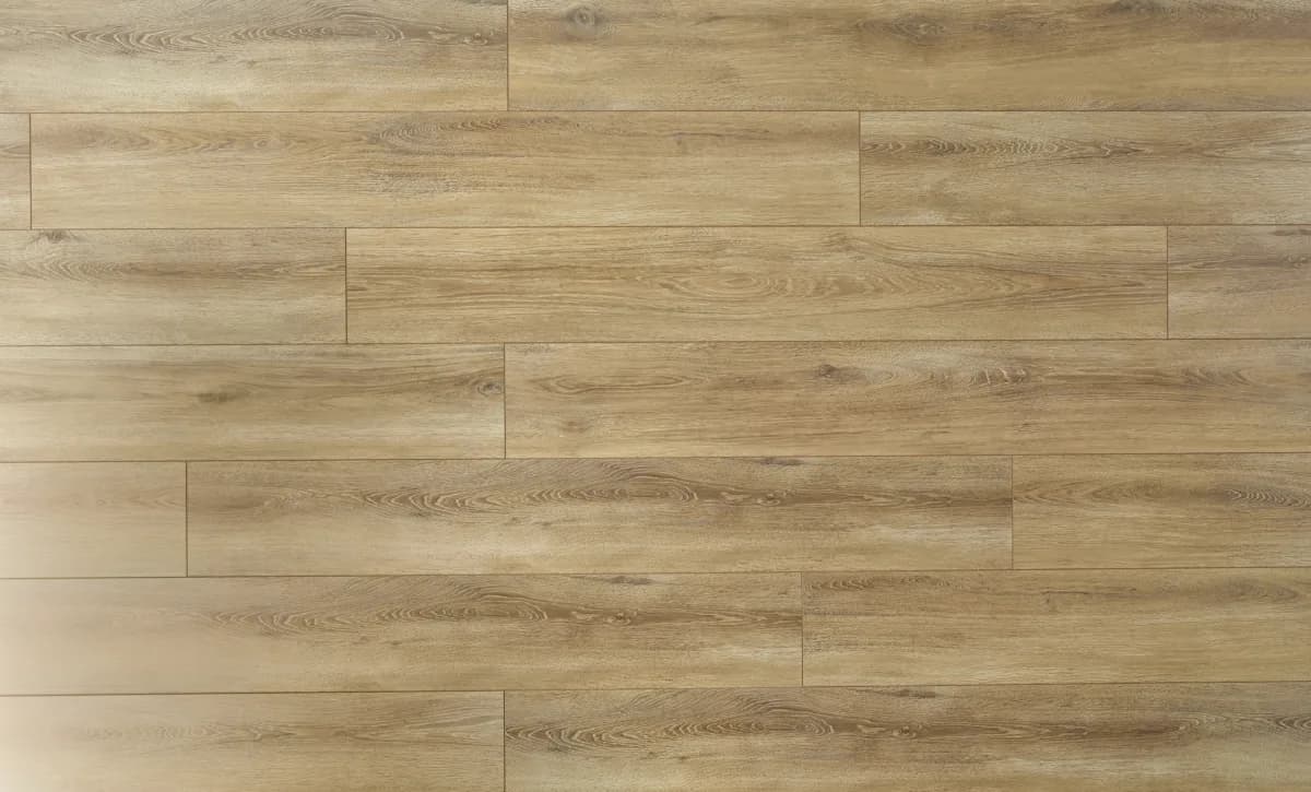 Santiago Oak