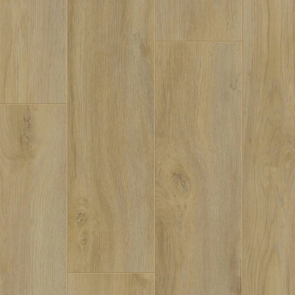 Empire Oak NATURE