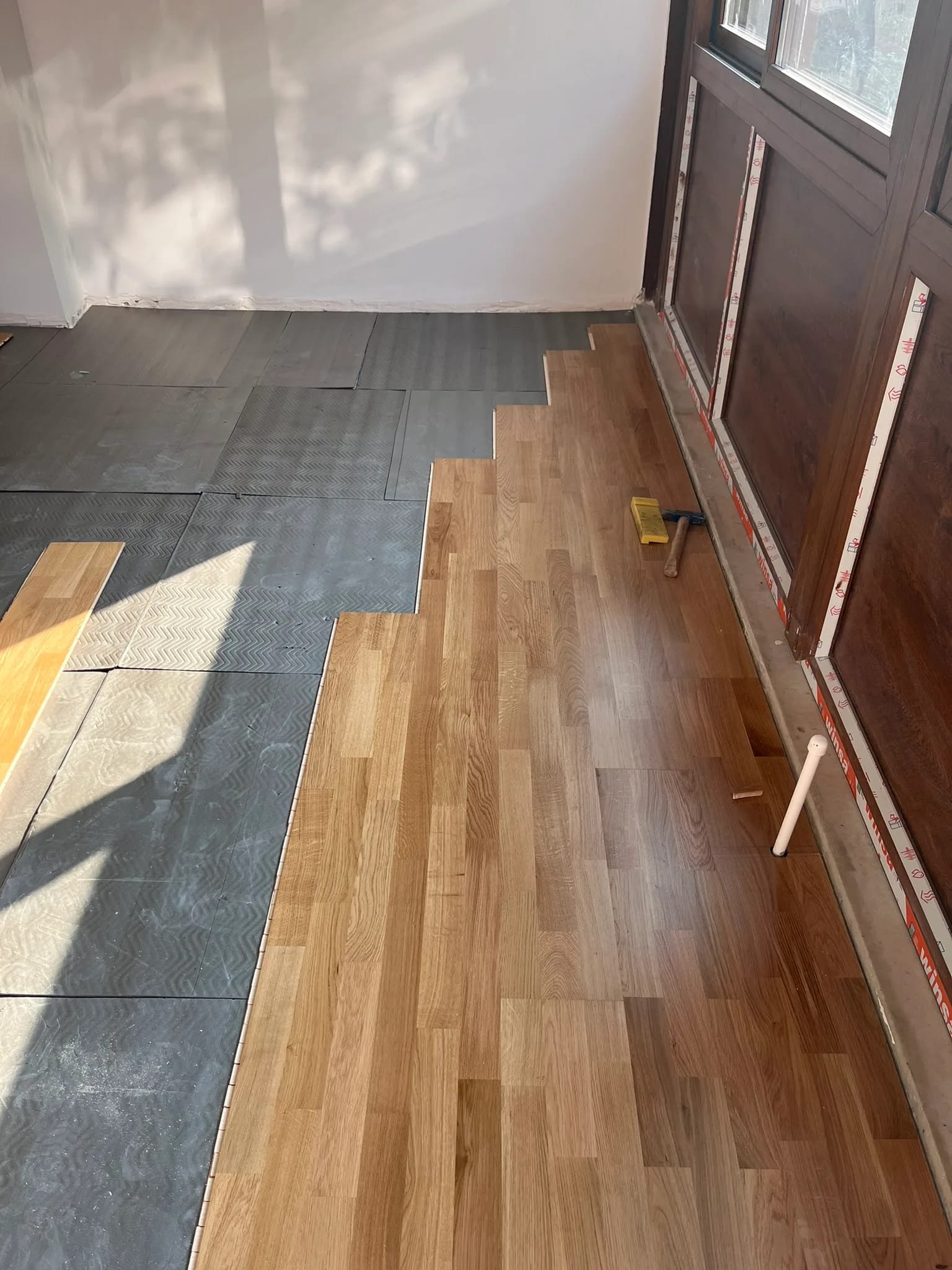IMG_1233